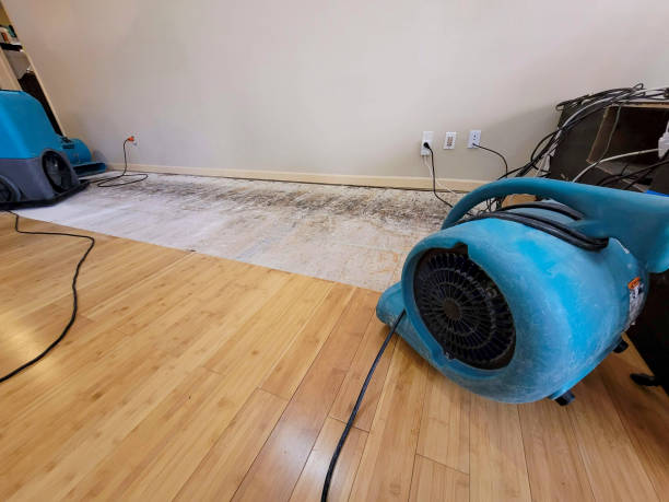 Professional Water Removal technician working in Princeton, AL
